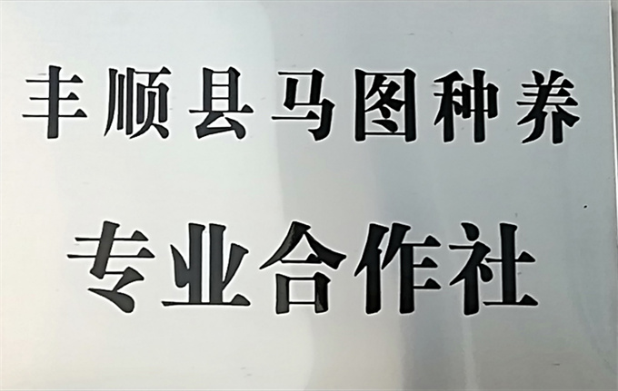 丰顺县马图种养专业合作社